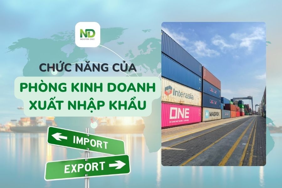 Tìm hiểu các chức năng của phòng kinh doanh xuất nhập khẩu