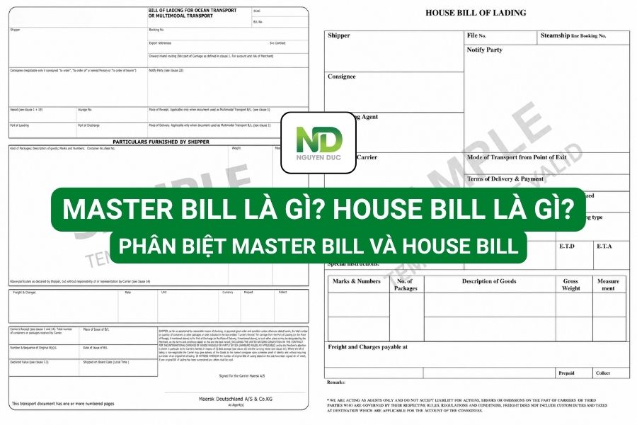 Master Bill là gì? House Bill là gì? Phân biệt Master Bill và House Bill