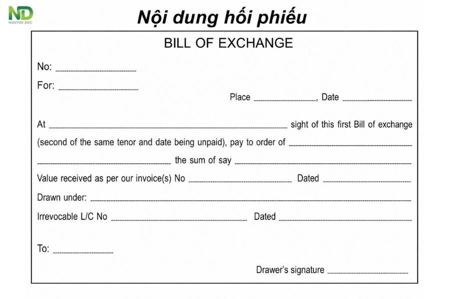 Hối phiếu