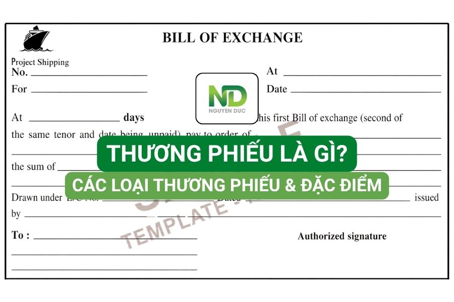 Thương phiếu là gì? Các loại thương phiếu và đặc điểm
