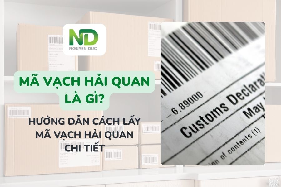 Mã vạch hải quan là gì? Hướng dẫn cách lấy mã vạch hải quan chi tiết