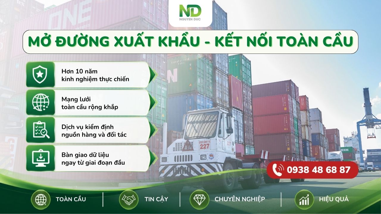 Dịch vụ phòng kinh doanh xuất nhập khẩu thuê ngoài