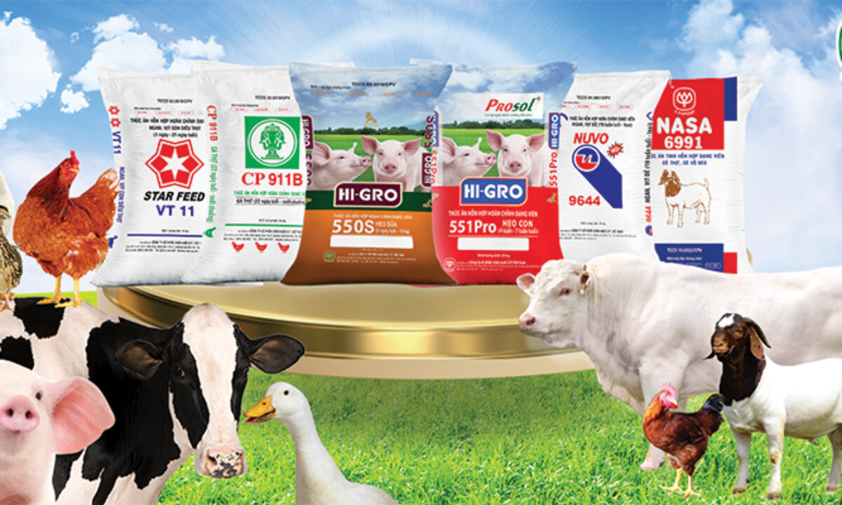 Thủ tục nhập khẩu thức ăn chăn nuôi cho hải sản, gia súc và gia cầm