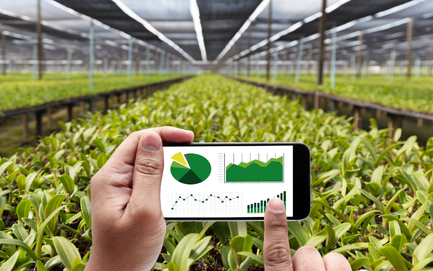 Dịch vụ tư vấn đầu tư chuyên nghiệp cho các dự án kinh doanh nông nghiệp