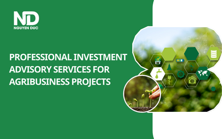 Professional Investment Advisory Services for Agribusiness Projects