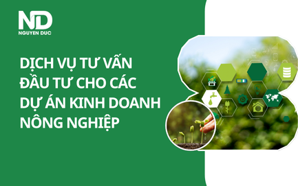 Dịch vụ tư vấn đầu tư chuyên nghiệp cho các dự án kinh doanh nông nghiệp