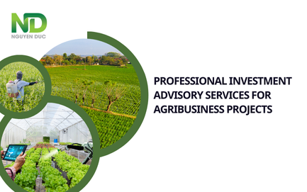 Professional Investment Advisory Services for Agribusiness Projects