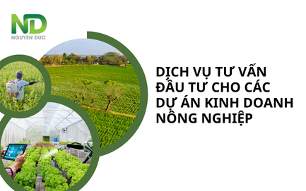 Dịch vụ tư vấn đầu tư chuyên nghiệp cho các dự án kinh doanh nông nghiệp