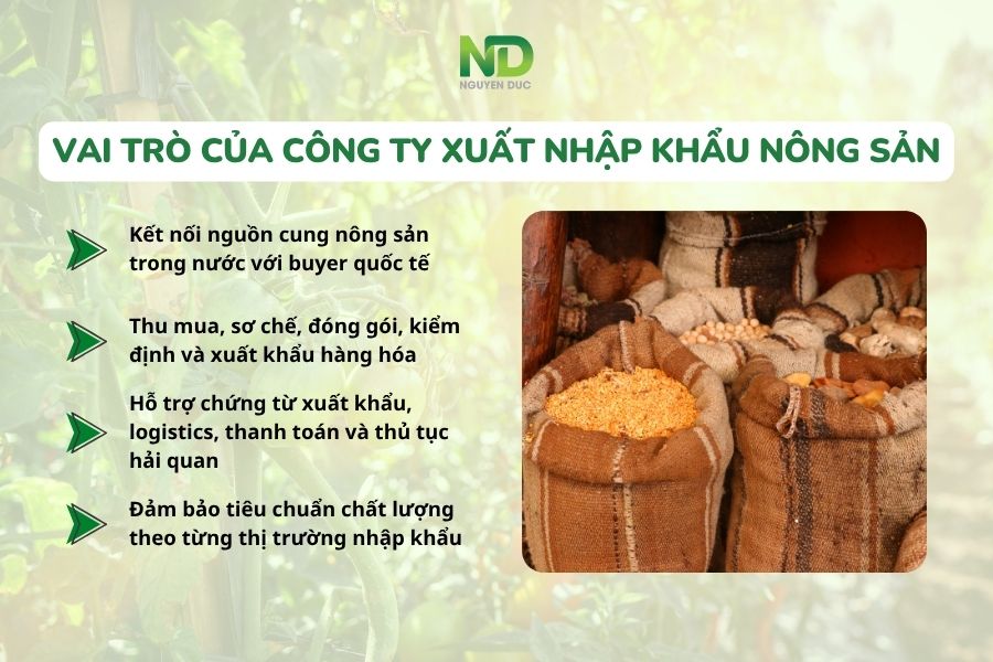 Vai trò của công ty xuất nhập khẩu nông sản