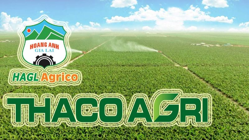 Công ty cổ phần Nông nghiệp Quốc tế Hoàng Anh Gia Lai