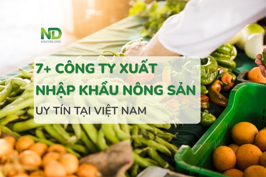 Top 7+ công ty xuất nhập khẩu nông sản uy tín tại Việt Nam