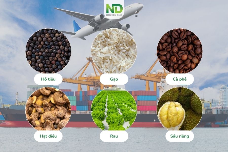 Mặt hàng chủ lực tăng trưởng tại các thị trường xuất khẩu nông sản Việt Nam