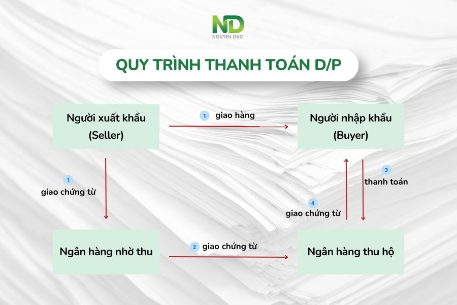 Quy trình thanh toán D/P