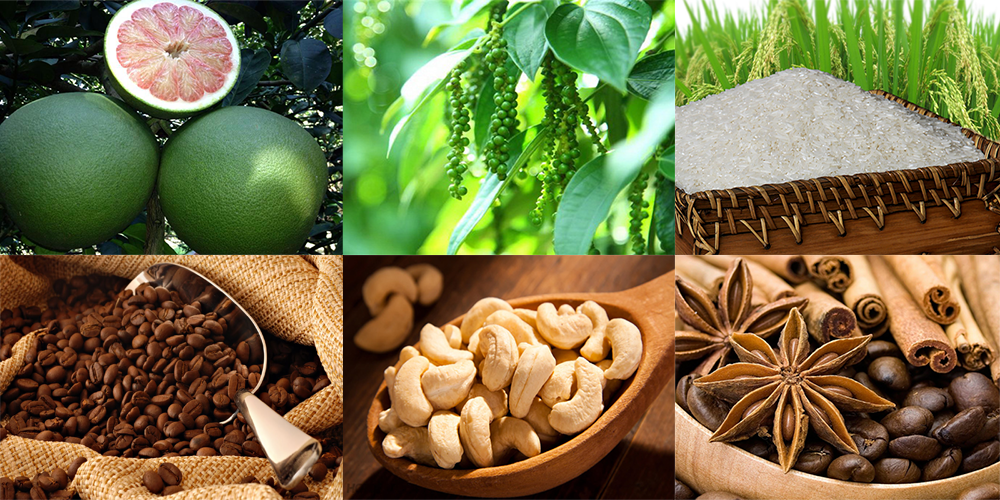 Cơ hội, thách thức, triển vọng xuất khẩu nông sản sang thị trường EU