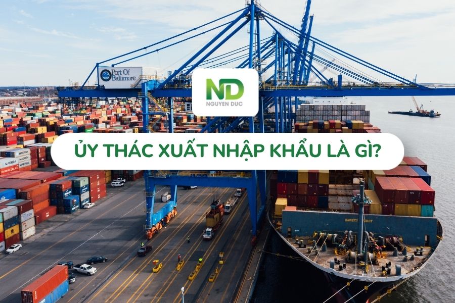 Ủy thác xuất nhập khẩu là gì? Quy trình ủy thác xuất nhập khẩu