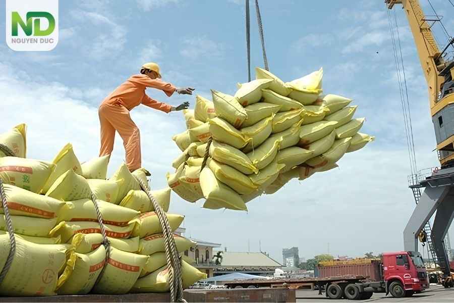 Tìm nguồn hàng nhập khẩu nông sản khi bổ sung mặt hàng theo mùa vụ