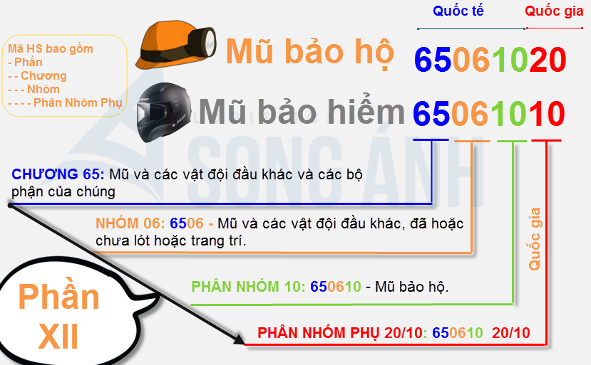 Mã HS code là gì? 3 Cách tra mã HS code chính xác nhất