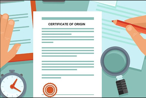 chung-tu-bao-hiem-lo-hang