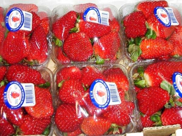 Dâu tây nhập khẩu